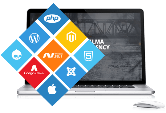 Website Development Company in Chandigarh